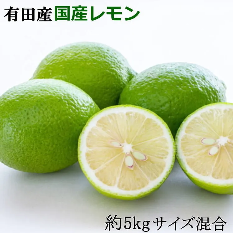 有田産の安心国産レモン約5kg （サイズ混合） ※2024年10月中旬～2025年3月下旬頃に順次発送予定