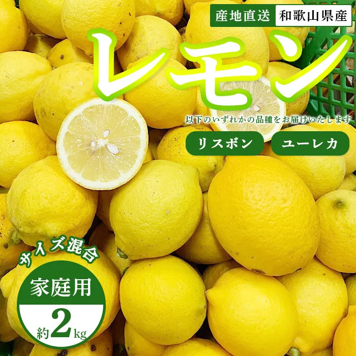 【産地直送】和歌山県産　レモン　2kg　家庭用
※着日指定不可
※北海道・沖縄・離島への配送不可
※2024年1月上旬～2月下旬頃に順次発送予定