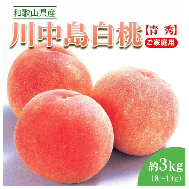 〈先行予約受付〉和歌山県産 川中島白桃 約3kg(8～13玉入)≪青秀/ご家庭用/訳あり≫◇ ｜ 産地直送 桃 白桃 訳あり 果物 フルーツ もも 約3kg ※離島への配送不可 ※2024年7月中旬頃～8月中旬頃に順次発送予定