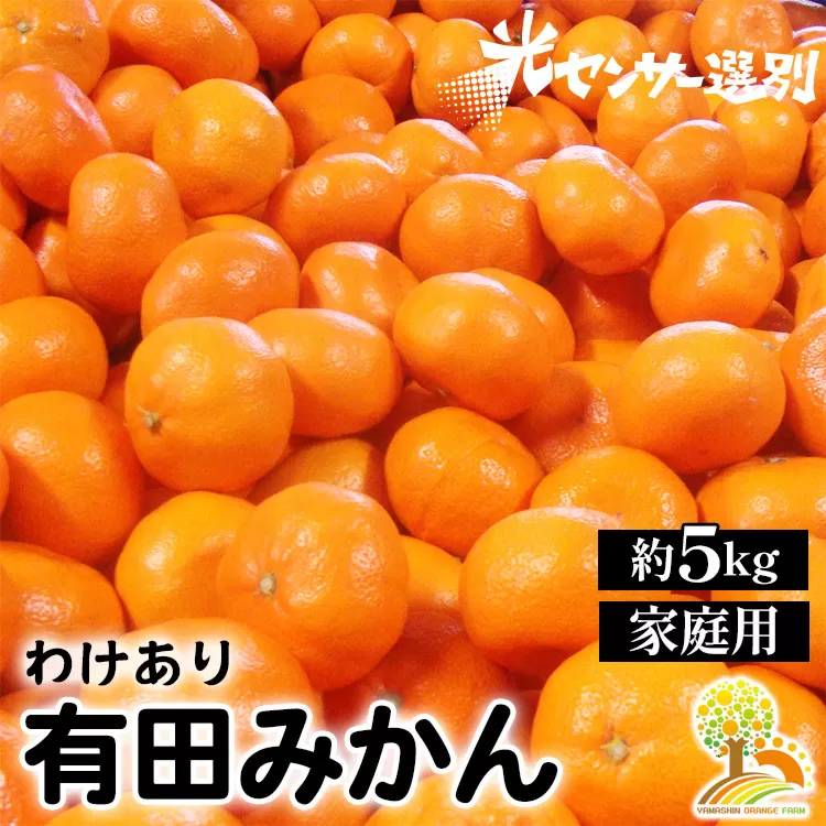 ＼光センサー選別／ 訳あり 有田みかん 約5kg  【ご家庭用】
※着日指定不可
※北海道・沖縄・離島への配送不可
※2024年11月中旬～2025年1月上旬頃に順次発送予定