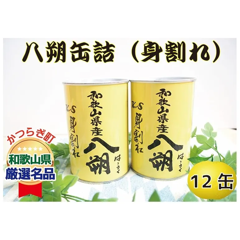 和歌山県産八朔缶詰（身割れ）425g×12缶セット◇