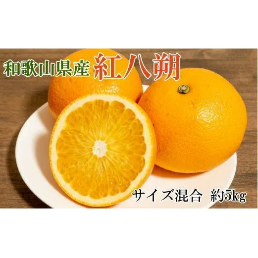 【希少品】和歌山県産紅八朔約5kg（サイズ混合） ※着日指定不可 ※2025年1月下旬～2月中旬頃に順次発送予定