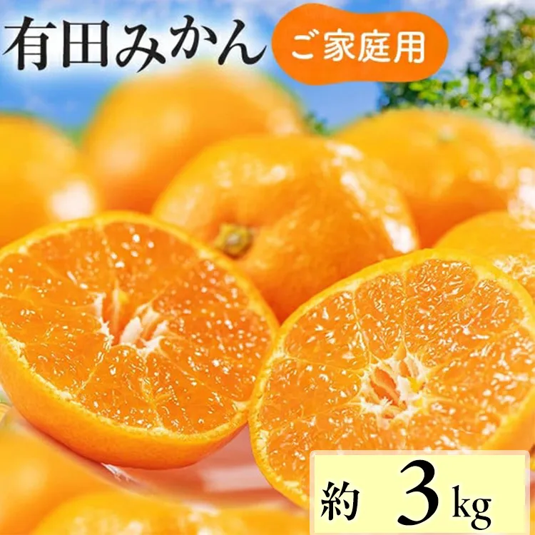 【先行予約】【数量限定】濃厚有田みかん(ご家庭用) 約3kg+300g(傷み補償分) ※2025年11月上旬～12月下旬頃に順次発送予定 ※北海道・沖縄・離島への配送不可 