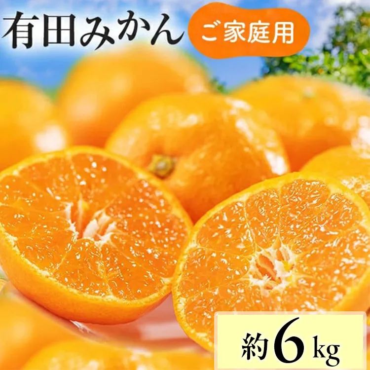 【先行予約】【数量限定】濃厚有田みかん(ご家庭用) 約6kg+300g(保証分) ※2024年12月上旬～12月下旬頃に順次発送予定 ※北海道・沖縄・離島への配送不可