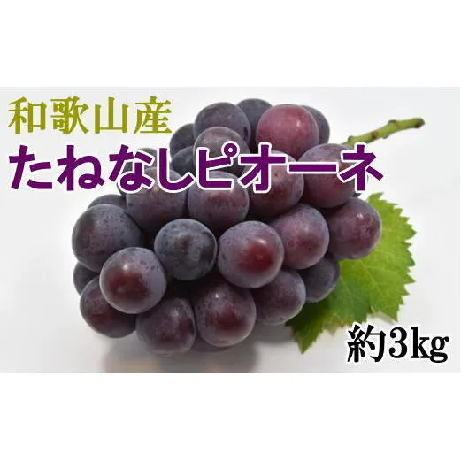 【新鮮・産直】和歌山県産たねなしピオーネ約3kg（4房～7房）
※着日指定不可
※北海道・沖縄・離島への配送不可
※2024年8月中旬～9月下旬頃に順次発送予定