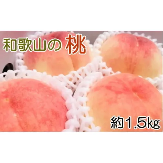 【産直・人気の特産品】和歌山の桃　約1.5kg
※着日指定不可
※北海道・沖縄・離島への配送不可
※2024年6月下旬～8月上旬頃に順次発送予定