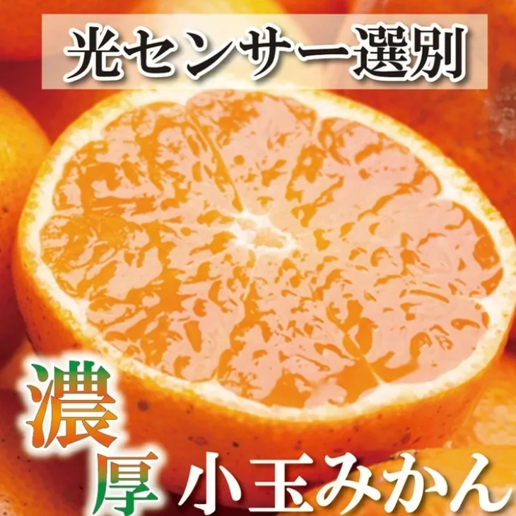 ＜2024年11月より発送＞家庭用 小玉な有田みかん2kg+60g（傷み補償分）【わけあり・訳あり】【光センサー選果】　※北海道、沖縄配送不可　※2024年11月上旬～12月下旬頃に順次発送予定