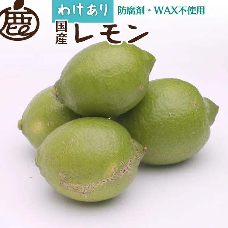 ＜9月より発送＞家庭用 黒潮レモン2kg+60g（傷み補償分）【和歌山有田産】【防腐剤・WAX不使用、安心の国産レモン】【わけあり・訳ありレモン】
※北海道・沖縄・離島への配送不可
※2024年9月上旬～2025年4月下旬頃に順次発送予定