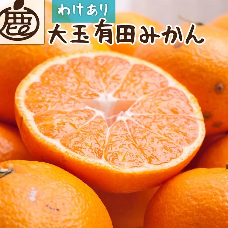 ＜2024年11月より発送＞家庭用 大きな有田みかん3kg+90g（傷み補償分）【わけあり・訳あり】【光センサー選果】
※北海道・沖縄・離島への配送不可
※2024年11月中旬～2025年1月下旬頃に順次発送予定