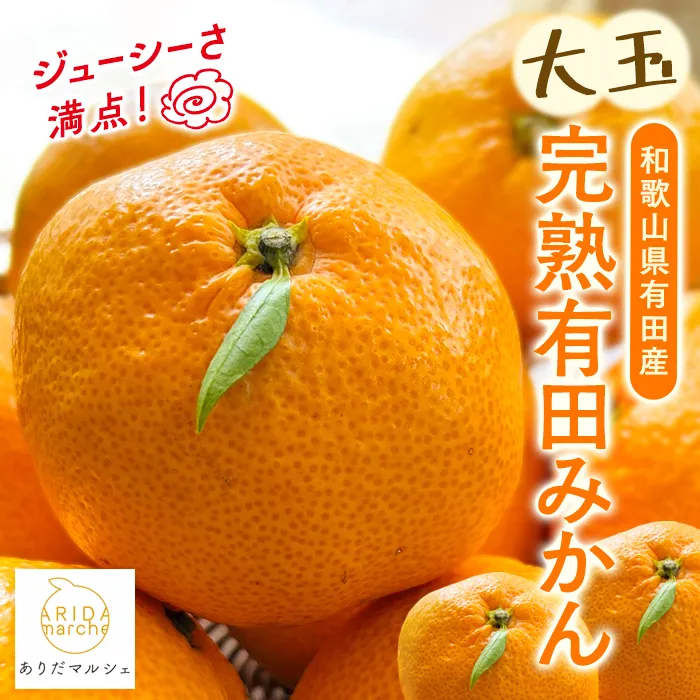 【2025年11月中旬〜発送】【果汁たっぷり】迫力満点! 大粒 有田みかん 4.7kg ※北海道・沖縄・離島への配送不可 ※2025年11月中旬～2026年1月中旬頃に順次発送予定