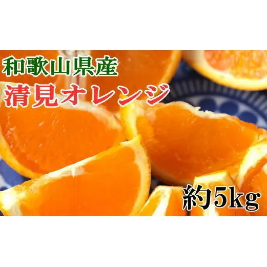 和歌山県産清見オレンジ約5kg(サイズ混合) ※2025年3月中旬～4月上旬頃に順次発送予定