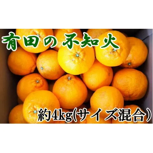 【濃厚】有田産不知火約4kg(M～3Lサイズ混合) ※2025年2月中旬～3月上旬頃に順次発送予定