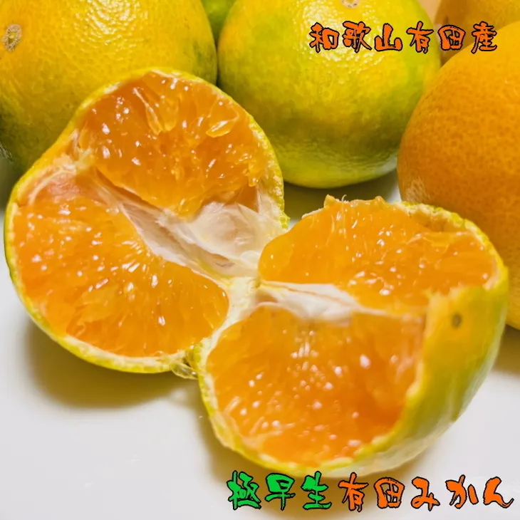 【先行予約】【秋の美味】【農家直送】濃厚極早生有田みかん（ご家庭用） 約2.2kg ふるさと納税 みかん　※2024年10月中旬～10月下旬頃に順次発送予定 ※沖縄・離島への配送不可