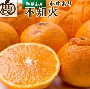 ＜2月より発送＞家庭用 不知火3kg+90g（傷み補償分）【デコポンと同品種・人気の春みかん】※北海道・沖縄・離島への配送不可 ※2025年2月上旬～3月下旬頃に順次発送予定【わけあり・訳あり】
