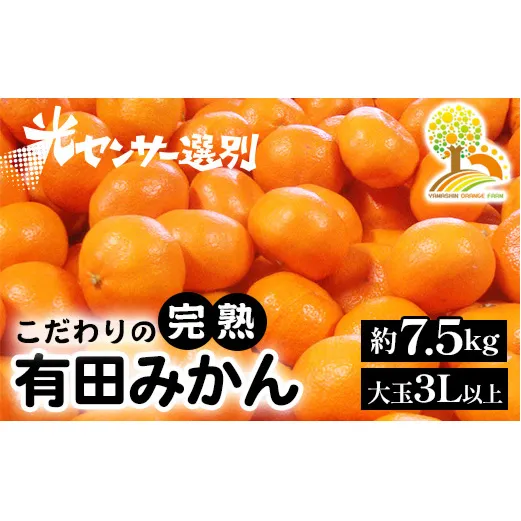 有田みかん 約7.5kg 大玉3L以上 有機質肥料100% ＼光センサー選別／ 農家直送 ※北海道・沖縄・離島への配送不可 ※2024年11月中旬～2025年1月上旬頃に順次発送予定