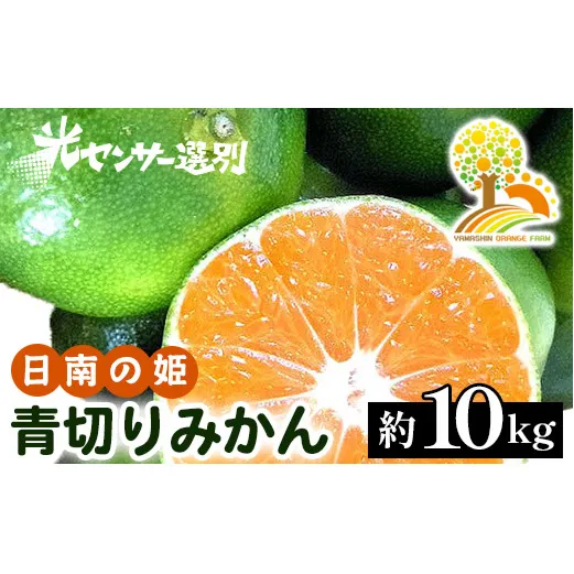 こだわりの青切りみかん 10kg 農家直送 有機質肥料 100% サイズ混合 ｜ みかん 柑橘 果物 くだもの 果実 フルーツ 和歌山 有田 ※北海道・沖縄・離島への配送不可 ※2024年9月下旬～10月上旬頃に順次発送予定