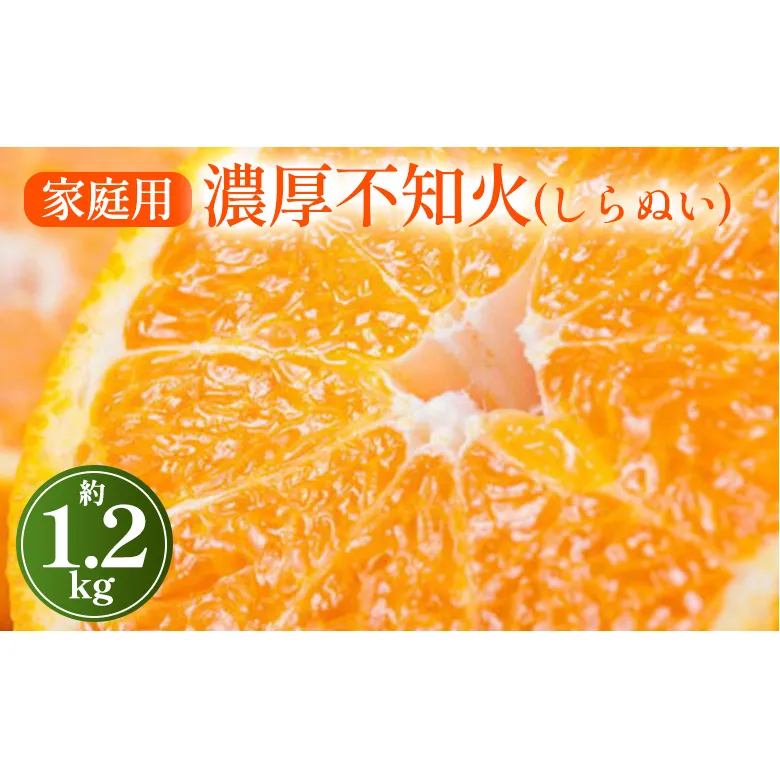 【先行予約】【農家直送】濃厚不知火（ご家庭用）1.2kg　※2025年2月上旬～3月下旬頃に順次発送予定 ※沖縄・離島への配送不可