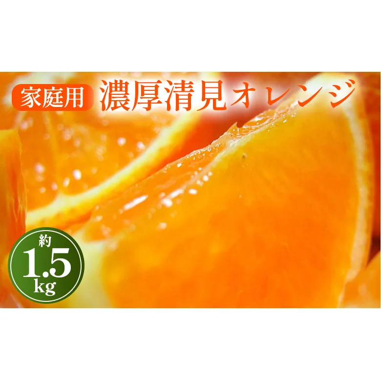 【先行予約】【春の美味】【農家直送】濃厚清見オレンジ（ご家庭用）1.5kg　※2025年2月下旬～4月中旬頃に順次発送予定 ※沖縄・離島への配送不可