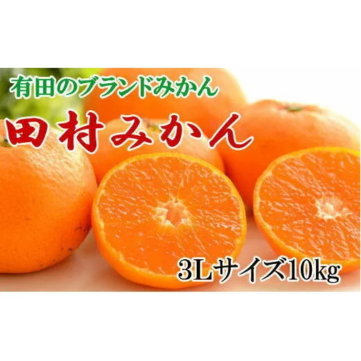 【ブランドみかん】田村みかん 大玉 約10kg (3Lサイズ) ※2024年11月下旬～12月下旬頃に順次発送予定