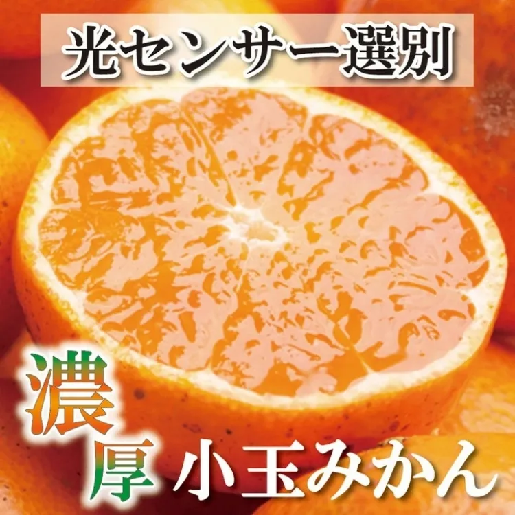 ＜2024年11月より発送＞家庭用 小玉な有田みかん 3.5kg＋105g（傷み補償分）【わけあり・訳あり】【光センサー選果】 ※北海道・沖縄・離島への配送不可 ※2024年11月上旬～12月下旬頃に順次発送予定