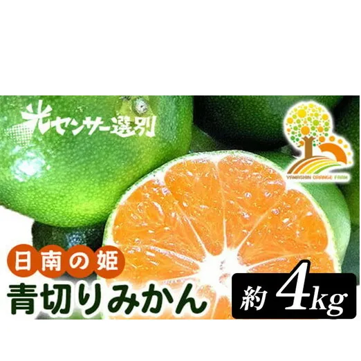 こだわりの青切りみかん 約4kg 農家直送 有機質肥料 100% サイズ混合 ｜ みかん 柑橘 果物 くだもの 果実 フルーツ 和歌山 有田 ※北海道・沖縄・離島への配送不可 ※2025年9月下旬～10月上旬頃に順次発送予定