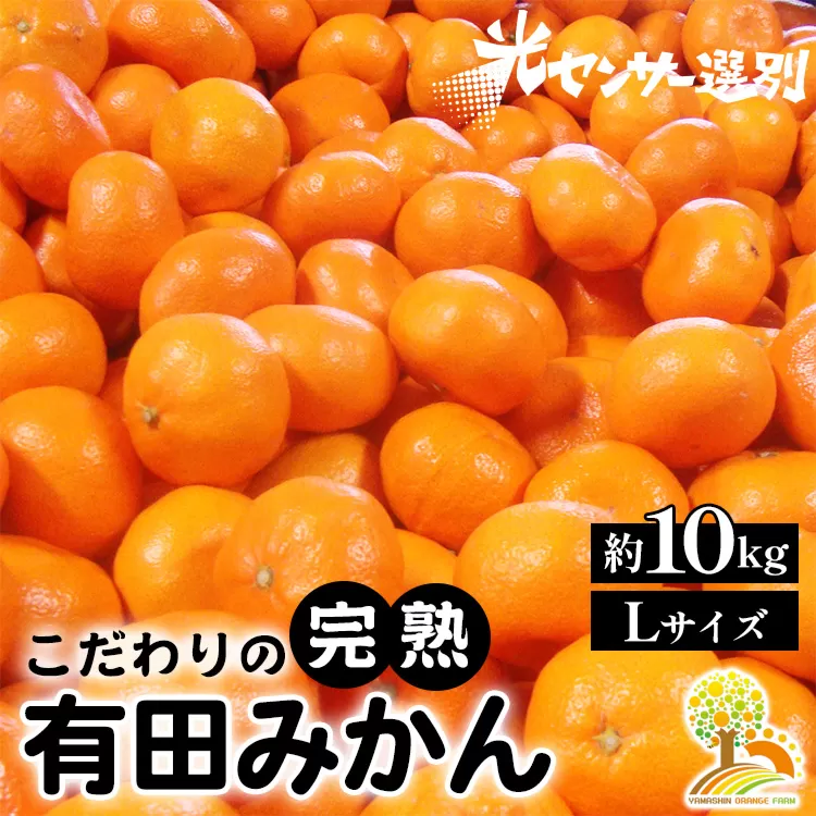 光センサー選別／こだわりの有田みかん 約6kg 【ご家庭用】 有機質肥料