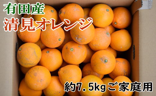 有田産清見オレンジ7.5kg(サイズおまかせまたは混合)ご家庭用※2024年2