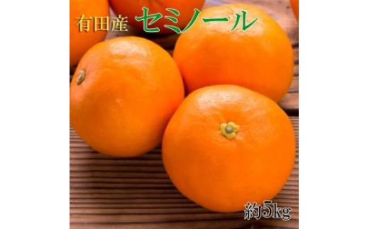 和歌山有田産セミノールオレンジ約5kg（サイズおまかせ・秀品）｜柑橘