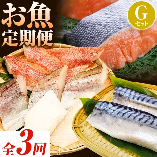 【定期便 全3回】 G サバフィレ 8枚 銀鮭切身 8枚 魚切り身詰合せ 8枚 株式会社魚鶴商店《お申し込み月の翌月より出荷開始》 和歌山県 日高町 鮭 さけ 紅さけ 切り身 さば 塩さば 焼き魚 焼くだけ 簡単 魚 さかな タラ