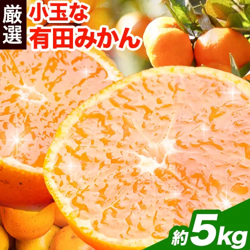 ＜先行予約＞厳選　小玉な有田みかん5kg+150g（傷み補償分）【光センサー選果】池田鹿蔵農園@日高町（池田農園株式会社）《11月上旬-12月末頃出荷》和歌山県 日高町【配送不可地域あり】