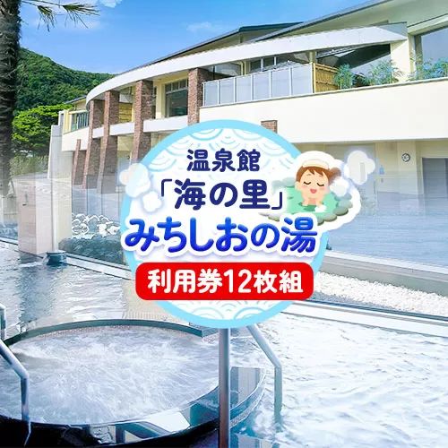 [温泉館「海の里」みちしおの湯]利用券 12枚組 [30日以内に出荷予定(土日祝除く)]和歌山県 日高町 日高町役場 温泉 チケット