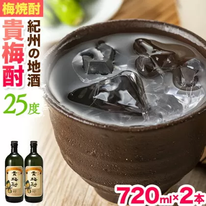 紀州の地酒 貴梅酎 きばいちゅう 25度 720ml×2本 エバグリーン 中野BC株式会社《30日以内に出荷予定(土日祝除く)》和歌山県 日高町 酒 お酒 地酒 梅焼酎