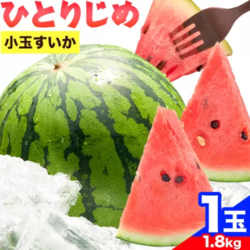 紀州和歌山産 小玉 スイカ 「ひとりじめ」 1玉 魚鶴商店《2025年6月上旬-6月下旬頃出荷》 和歌山県 日高町 スイカ スイーツ フルーツ 果物 野菜 スイカ すいか 夏 旬