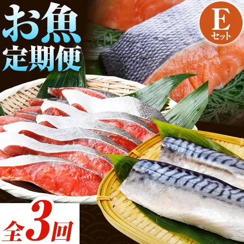 【定期便 全3回】 E サバフィレ 8枚 銀鮭切身 8枚 紅鮭切身 1kg 株式会社魚鶴商店《お申し込み月の翌月より出荷開始》 和歌山県 日高町 鮭 さけ 紅さけ 切り身 さば 塩さば 焼き魚 焼くだけ 簡単 魚 さかな