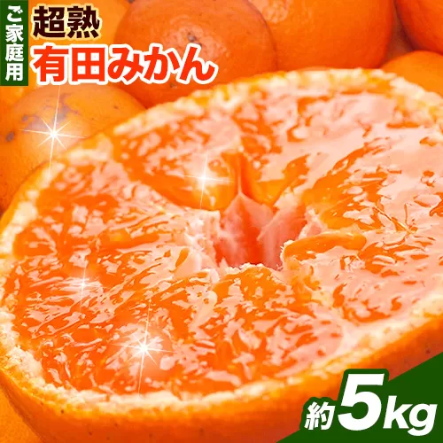 ＜先行予約＞家庭用 超熟 有田 みかん 5kg+150g（傷み補償分）【わけあり・訳あり】【光センサー選果】池田鹿蔵農園@日高町（池田農園株式会社）《11月上旬-12月末頃出荷》和歌山県 日高町【配送不可地域あり】みかん 有田みかん