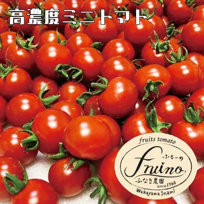 【2024年3月発送】フルーツトマト「fruino ふるーの」1箱（4パック）