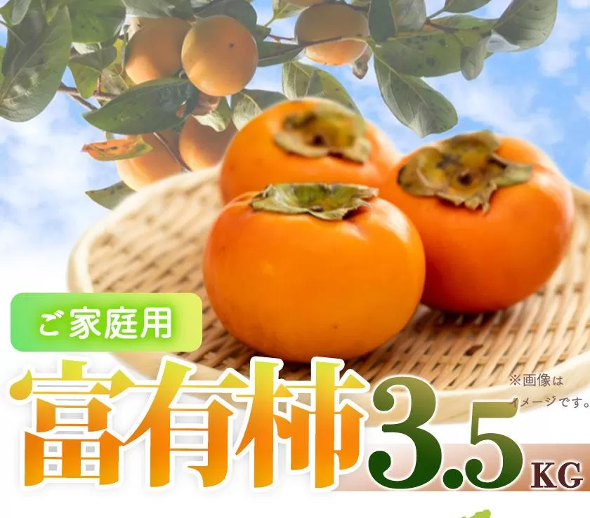 【ご家庭用わけあり】和歌山秋の味覚　富有柿　約3．５ｋｇ　「2024年11月上旬以降発送予定」