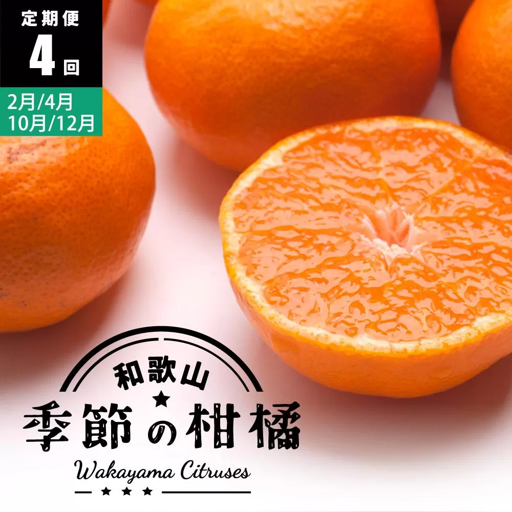 【 2・4・10・12月 全4回 】 柑橘定期便B【IKE6】