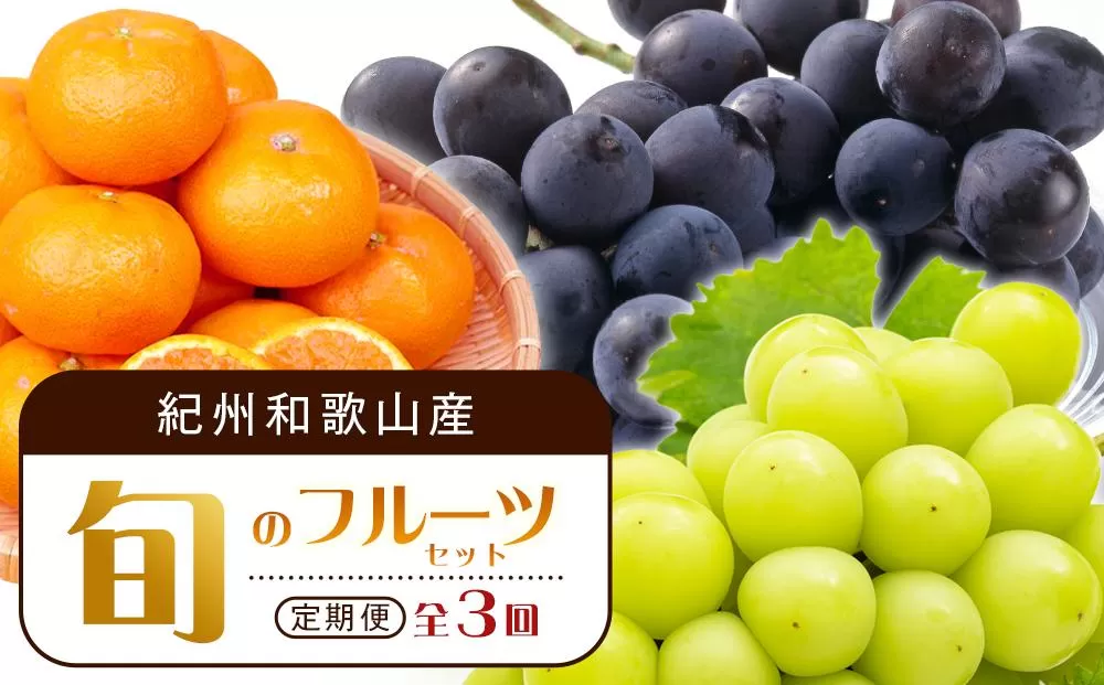 【8・9・12月 全3回 定期便 】紀州和歌山産旬のフルーツセット（種なし巨峰・シャインマスカット・みかん）【UT122】