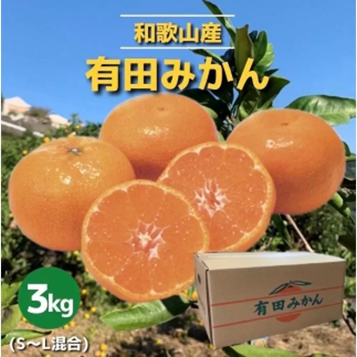 和歌山県産　有田みかん　3kg　秀品