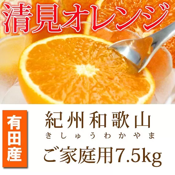 【ご家庭用訳アリ】紀州有田産清見オレンジ　7.5kg【2025年3月下旬以降発送】【先行予約】【UT54】