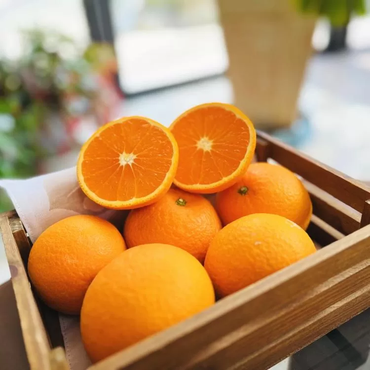 濃厚清見オレンジ（ご家庭用）3kg 【農家直送】【先行予約・2025年2月下旬～3月下旬発送】
