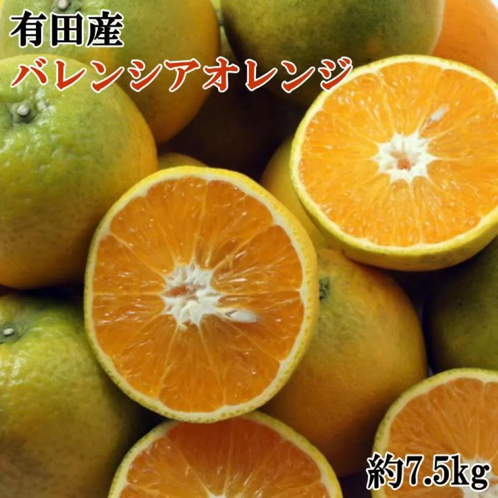 【爽快】有田産バレンシアオレンジ 約7.5kg（M～2Lサイズおまかせ）★2025年6月中旬より順次発送予定【TM168】