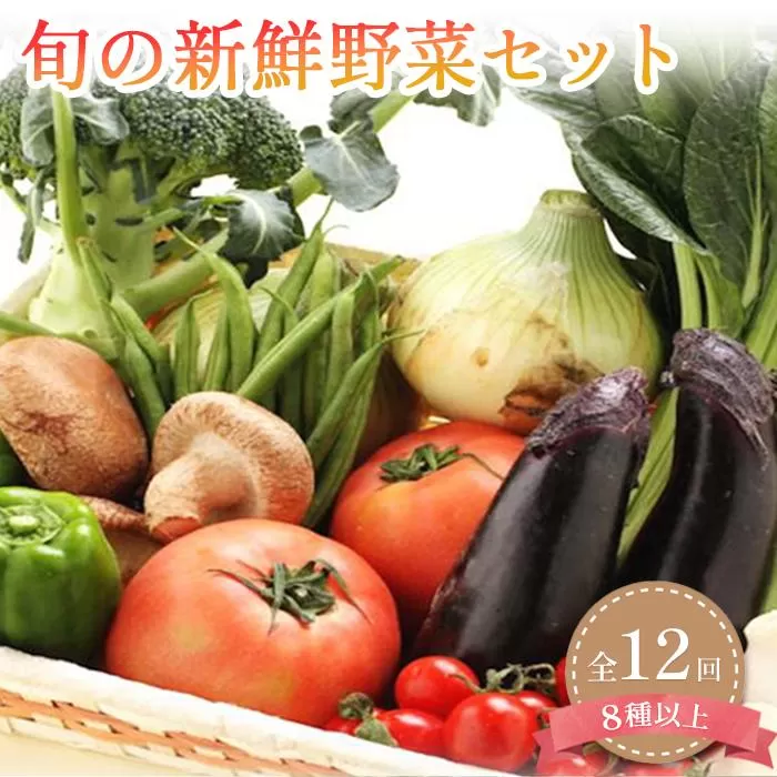 定期便 旬の新鮮野菜詰め合わせ 8種以上 全12回【野菜セット】