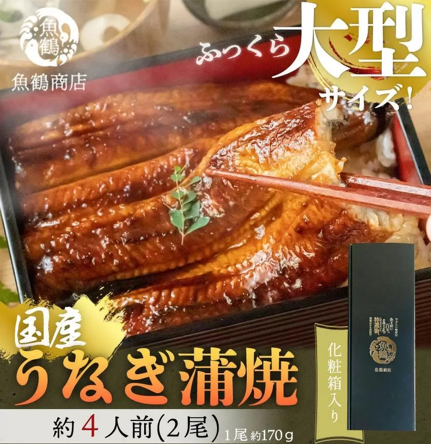 大型サイズふっくら柔らか　国産うなぎ蒲焼き　２尾