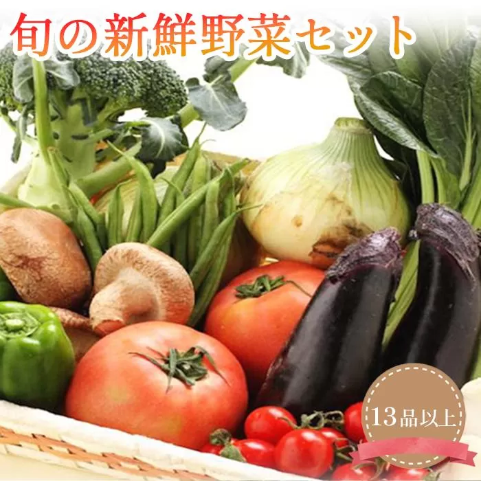 旬の新鮮野菜セット 大満足な13種以上【野菜詰め合わせ】