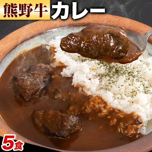 牛肉 熊野牛 カレー 5食セット 株式会社Meat Factory《30日以内に出荷予定(土日祝除く)》和歌山県 日高川町 熊野牛 牛 和牛 焼肉 希少部位 ミスジ 焼肉