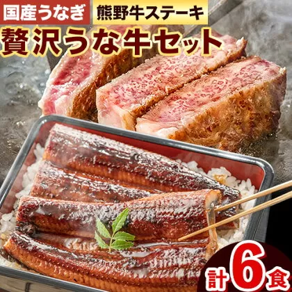 ステーキ 鰻 熊野牛 国産うなぎ 熊野牛ステーキと国産炭火焼鰻の贅沢うな牛セットＢ 計6食 株式会社Meat Factory《30日以内に出荷予定(土日祝除く)》和歌山県 日高川町 ロースステーキ 牛肉 肉 国産 うなぎ 送料無料