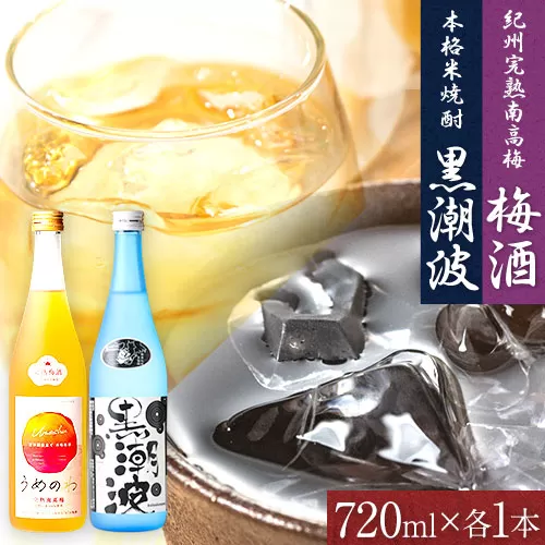 本格米焼酎 黒潮波 （くろしおなみ） と 紀州 完熟 南高梅 梅酒 720ml×各1本 2本セット 厳選館《90日以内に出荷予定(土日祝除く)》 和歌山県 日高川町 酒 梅酒 焼酎 米焼酎 果実酒