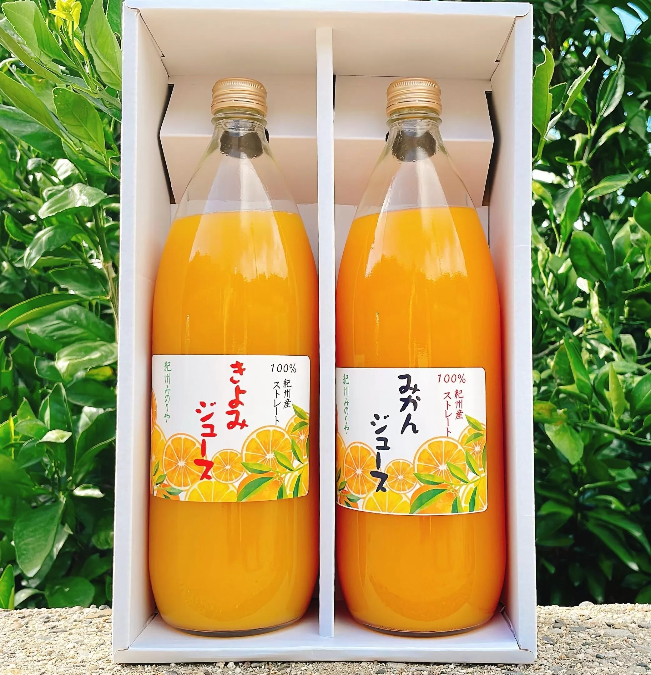 温州みかんジュース・清見ジュース各1000ml 2本セット